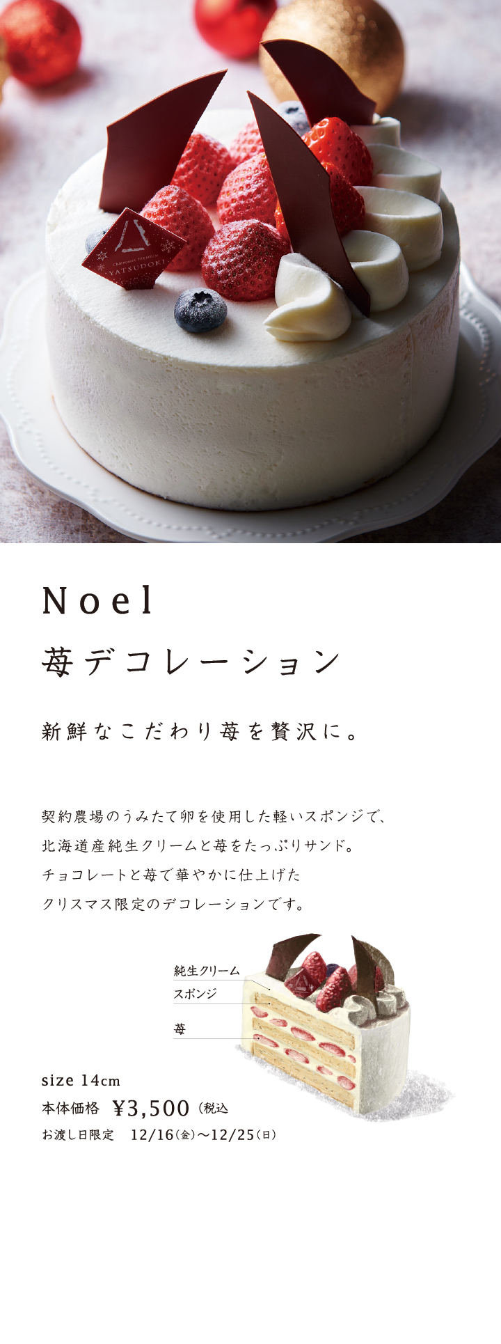 Noel苺デコレーション