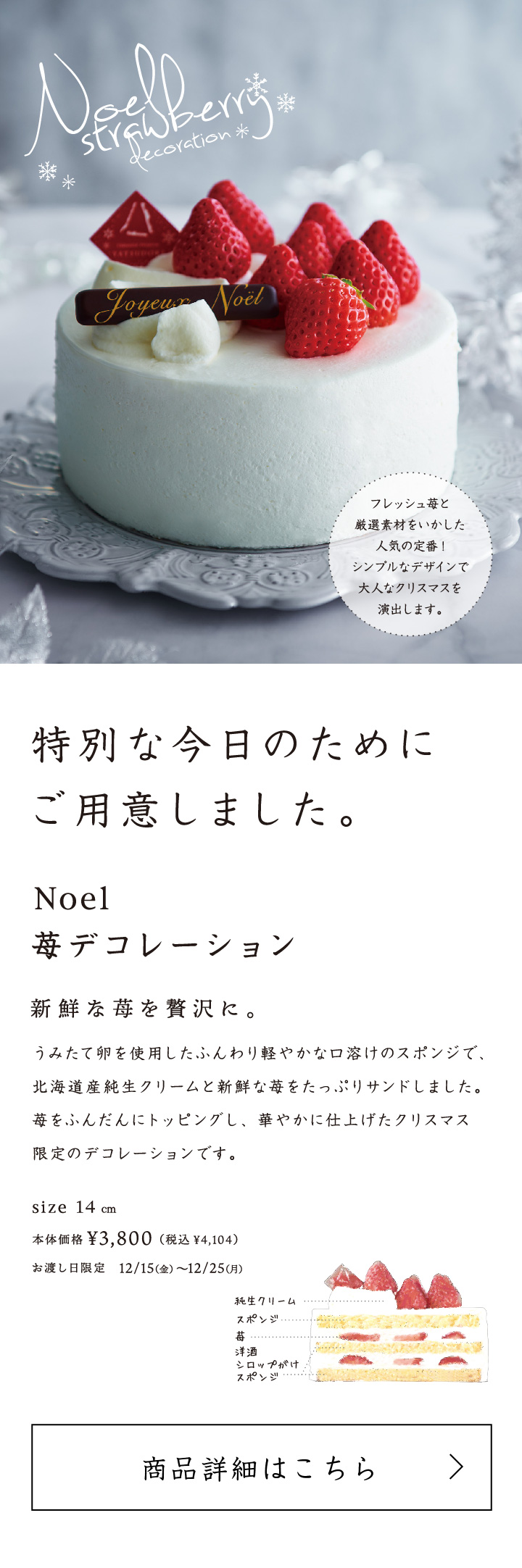 Noel苺デコレーション