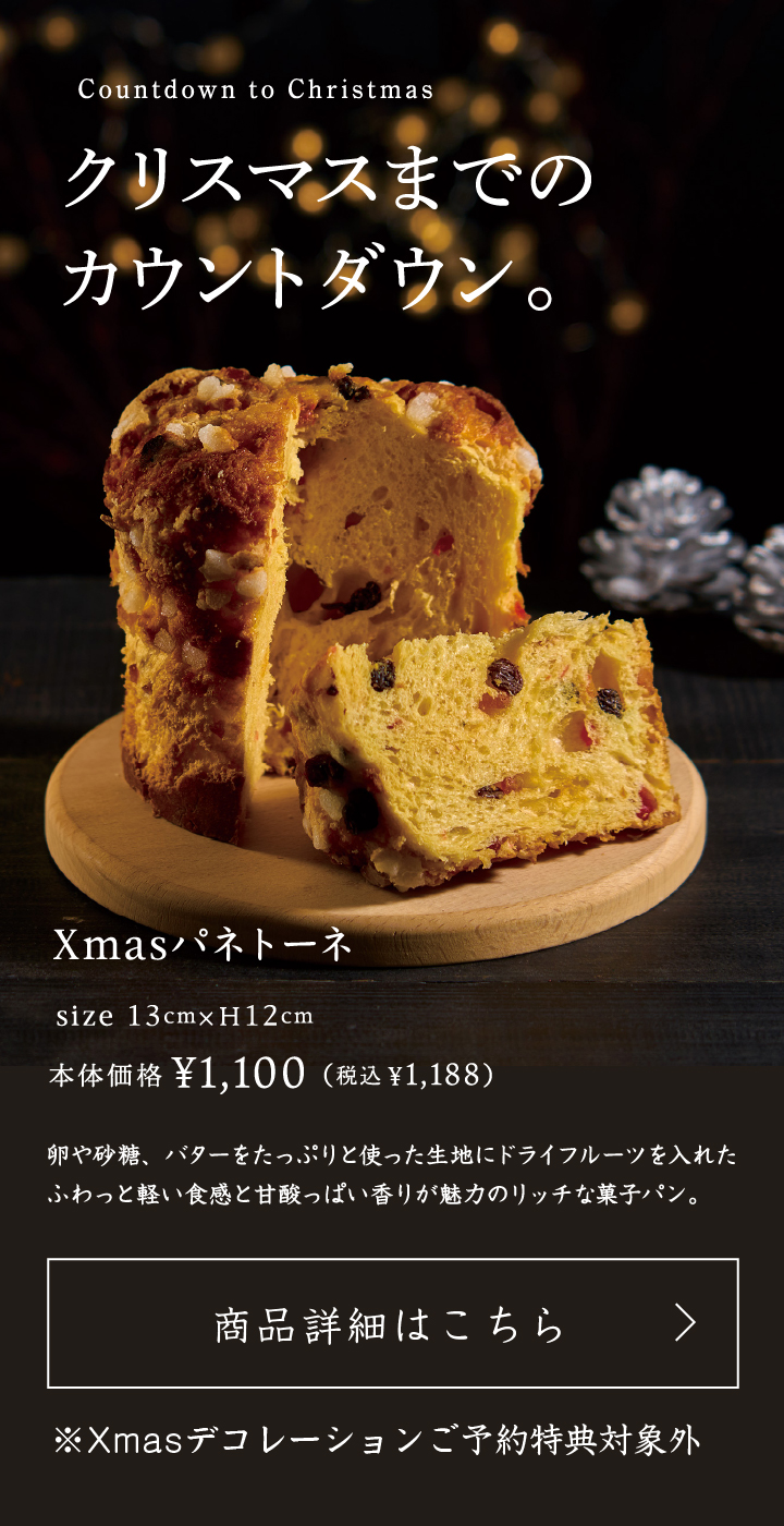 Xmasパネトーネ