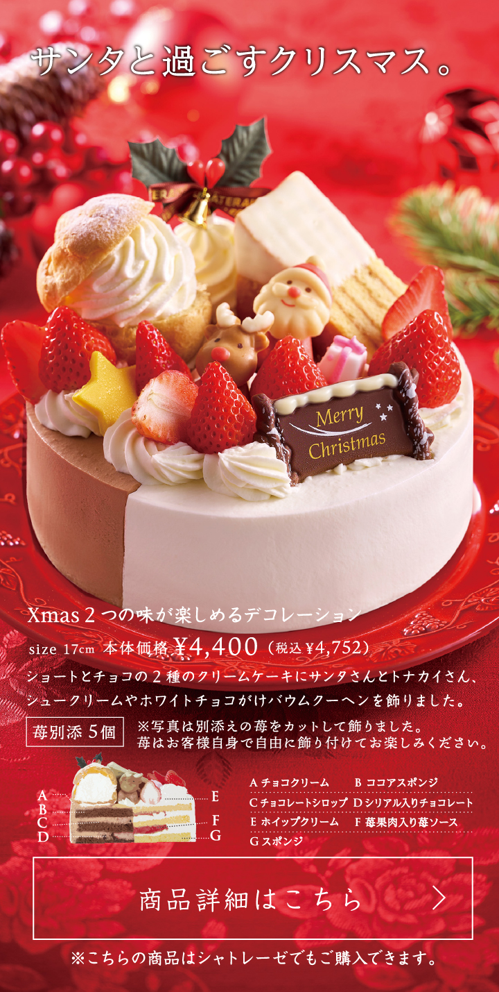 Xmas2つの味が楽しめるデコレーション