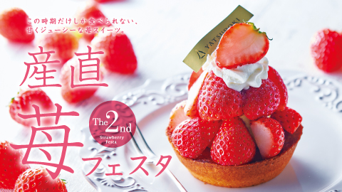 産直苺フェスタ第２弾