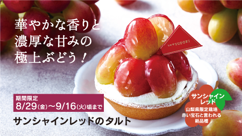 サンシャインレッドのタルト
