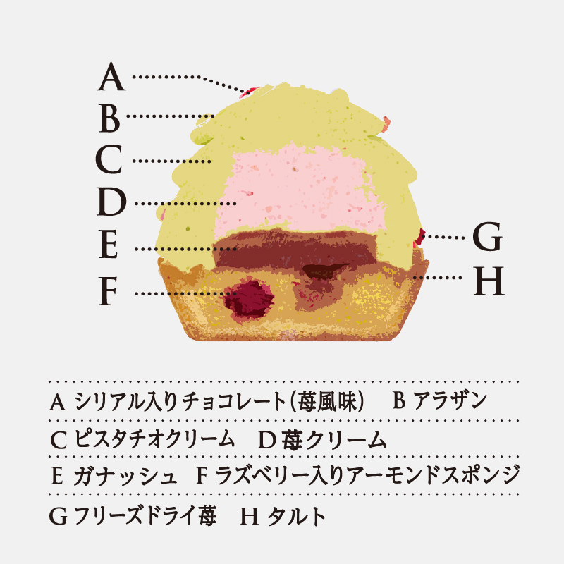 Noelサパン-2