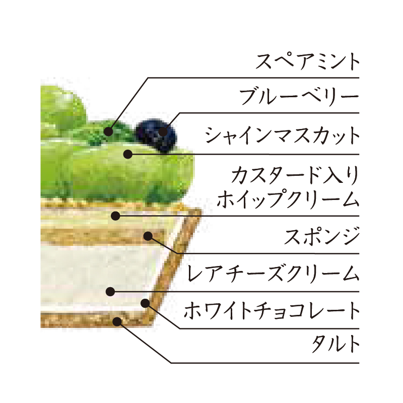 シャインマスカットのフロマージュタルト(Whole)15cm-2