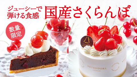 ジューシーで弾ける食感国産さくらんぼのケーキ、数量限定